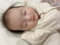 アレクサンダー『女の子と男の子の違い』