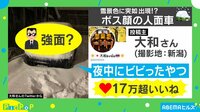 夜中にビビった…ボス顔人面車