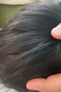 市川團十郎白猿『ただいま！』