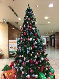 桜井奈々『発達障害に関わる地域格差』