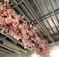 渡辺美奈代『桜』