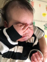 たんぽぽ白鳥久美子『ハスキーボイス』