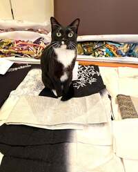 藤あや子『オーマイガー‼︎』