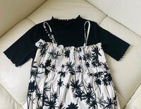 だいたひかる『しまむらでの戦利品』