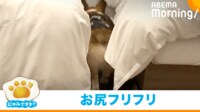 【映像】“隙間からの脱出”ひらめきの瞬間
