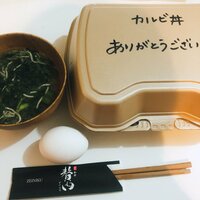 平野ノラ『肉』