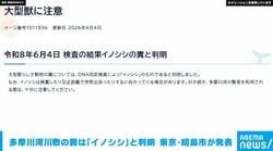 多摩川河川敷で確認された“大型獣”の糞は「イノシシ」と判明 東京･昭島市発表