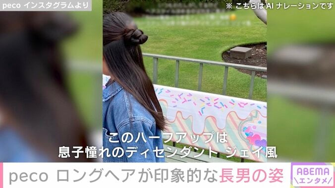 peco Instagramより