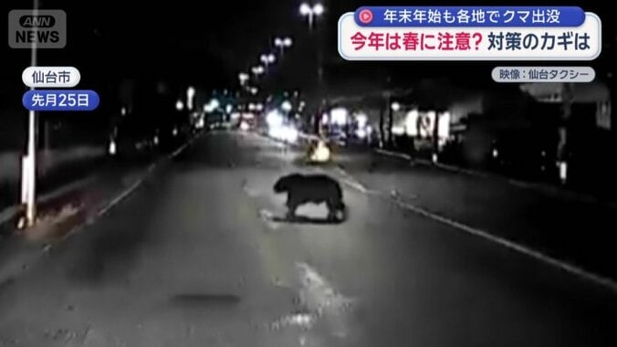 走行するタクシーの目の前にクマ