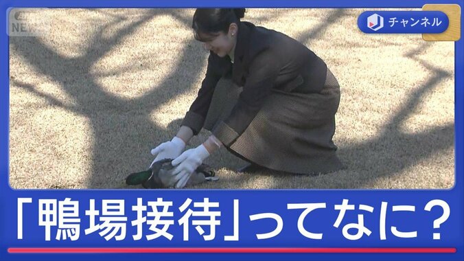 愛子さま初の単独おもてなし「鴨場接待」ってなに？ 1枚目