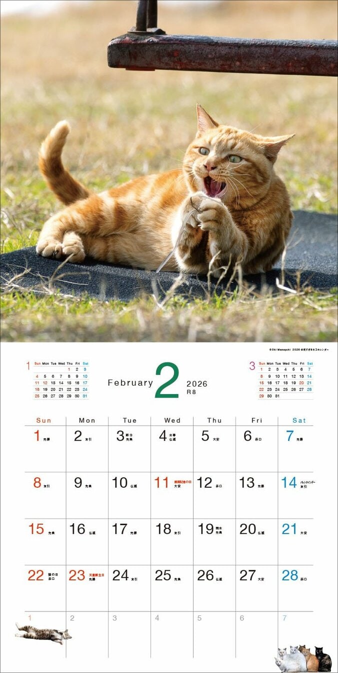 『必死すぎるネコカレンダー2026』
