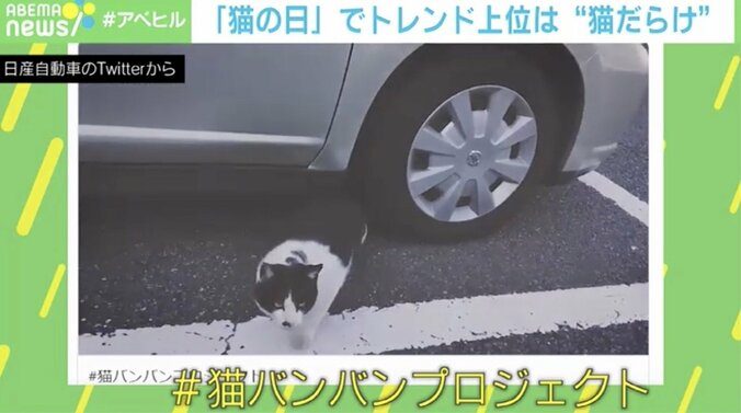 ドリカム中村正人「“猫大好き”って軽々しく言えない」家族の一員のために叶えた夢 2枚目