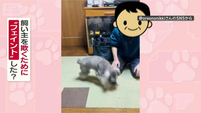 なぜフェイントしたの？