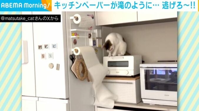 ネコのおでんくん