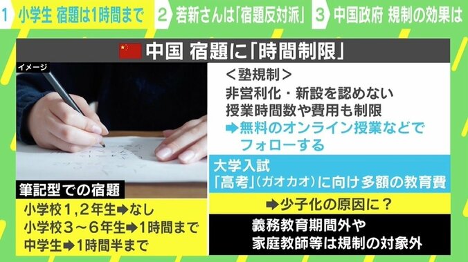 中国、義務教育期間の宿題等に“新規制” 若新雄純氏「宿題の効果や塾の“不安商売”を見直すべきでは」 4枚目