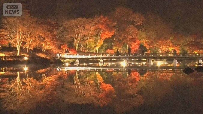 夜しか味わえない幻想的紅葉　水面が巨大鏡ライトアップ　ケーブルカーで1200m標高 1枚目
