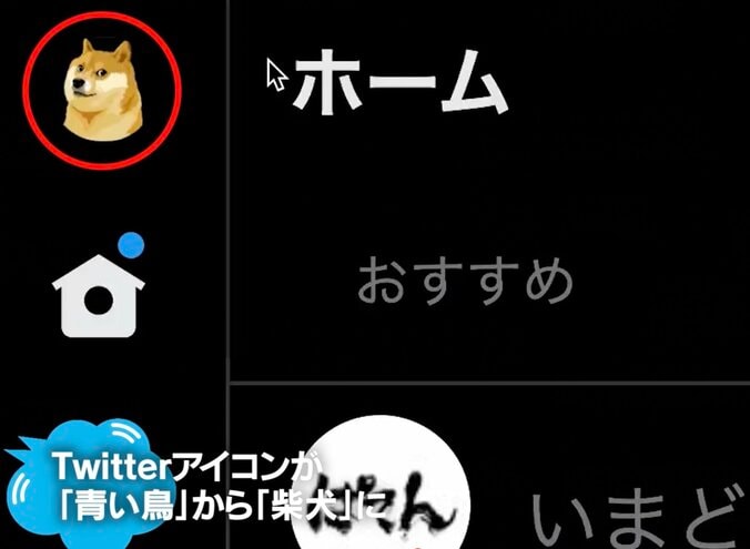 Twitterの犬アイコンに“裏コマンド”で普通の芝犬が…粋な遊び心に167万回再生の反響 1枚目