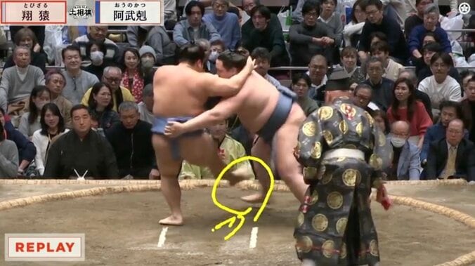 蹴返しを決める翔猿