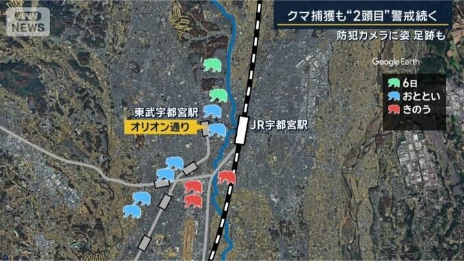 クマの目撃情報