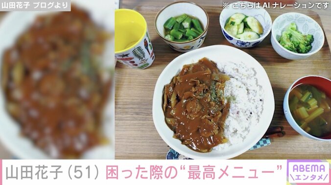 山田花子 ブログより