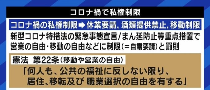 お酒販売の制限は「法律の委任範囲を逸脱」、自民党の緊急事態条項をめぐる議論は「野党も共犯」…倉持弁護士が指摘する“リベラル派”の矛盾 8枚目