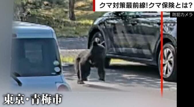 東京・青梅市で駐車場を一目散に走るクマの姿