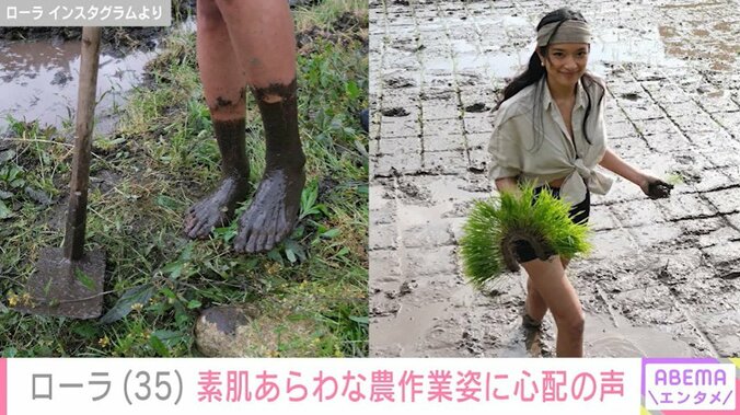 ローラ、裸足で田んぼの中に入り田植えする姿