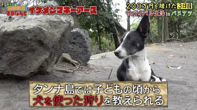 「豚から“肉”になっていく」10歳のスゴ腕ハンターに視聴者も衝撃…『地球征服』マネーアース 4枚目