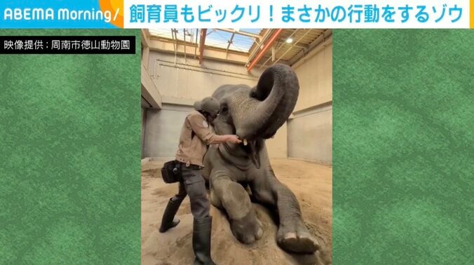 スリランカゾウのミリンダくん