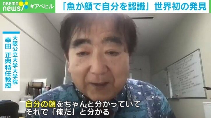 「魚も容姿を気にする?」世界初の発見 自己認識=心も存在?