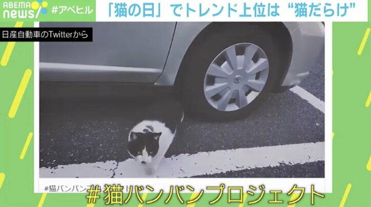 ドリカム中村正人「“猫大好き”って軽々しく言えない」家族の一員のために叶えた夢