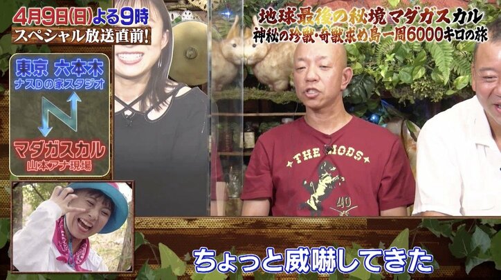 「どうしたっ!?」テレ朝女子アナを襲った悲劇…カメレオンの威嚇に逃走する“珍映像”にスタジオ騒然