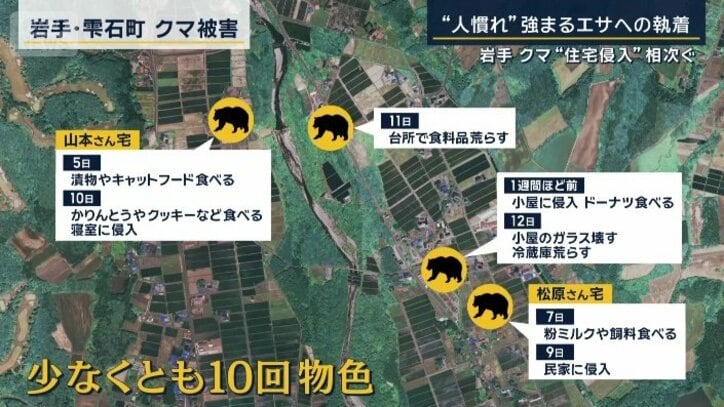 クマ被害