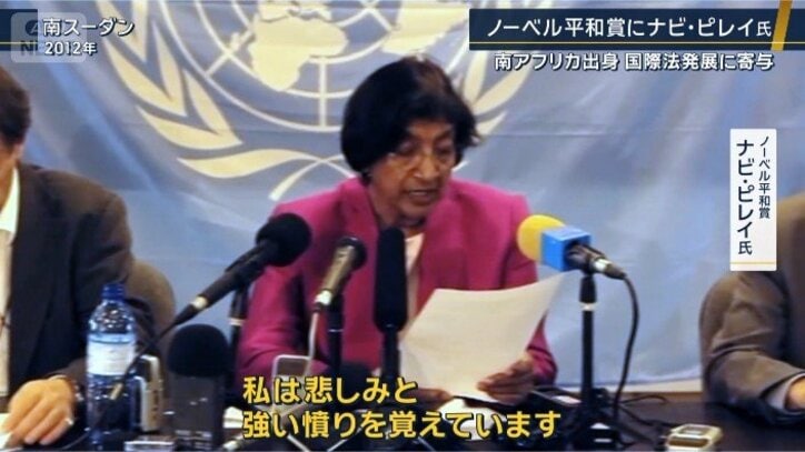 ナビ・ピレイ氏