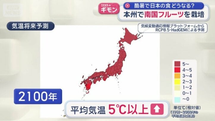 気温将来予測