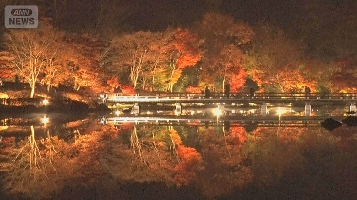 夜しか味わえない幻想的紅葉　水面が巨大鏡ライトアップ　ケーブルカーで1200m標高
