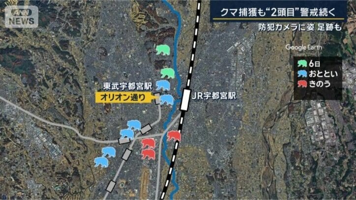 クマの目撃情報