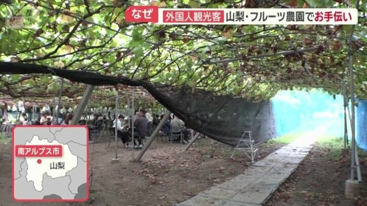 南アルプス市にある農園