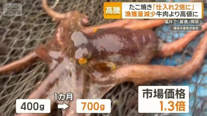 1カ月で400gが700gに