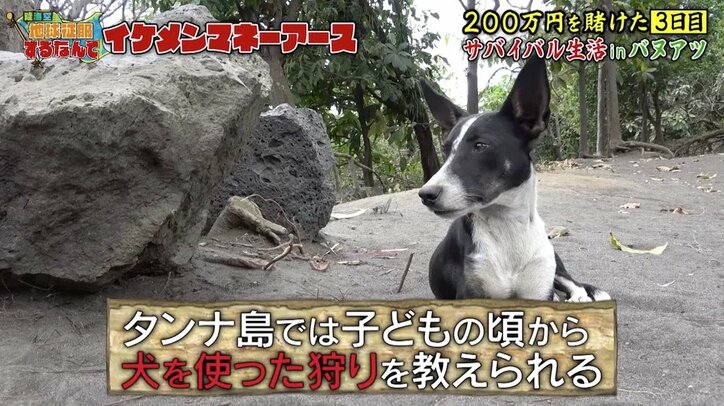 「豚から“肉”になっていく」10歳のスゴ腕ハンターに視聴者も衝撃…『地球征服』マネーアース