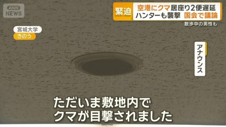 宮城大学の構内にクマが出没