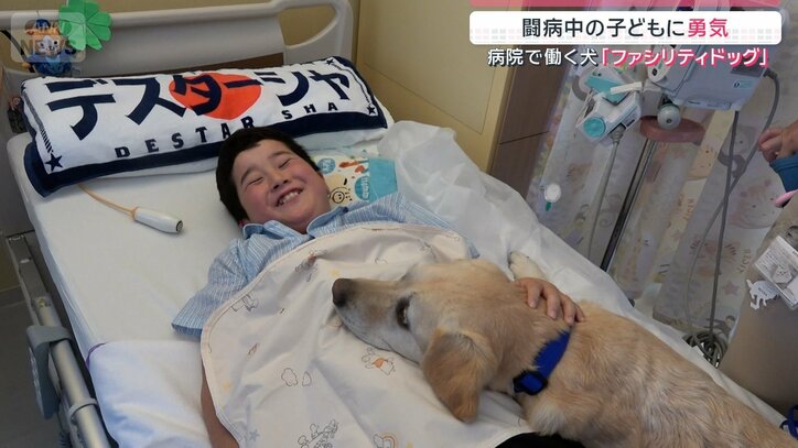 顔を胸元にのせるアイビー