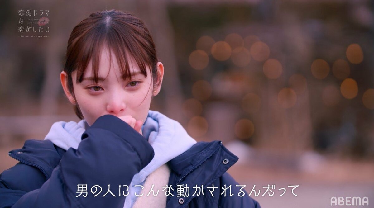 儚 げ 美人
