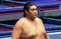 「何頭身だよ」身長197センチの“小顔”若手力士に熱視線「めっちゃ脚長い…」