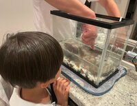 ココリコ遠藤嫁『今日のザリガニ』