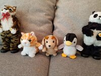 梅沢富美男『おともだち』