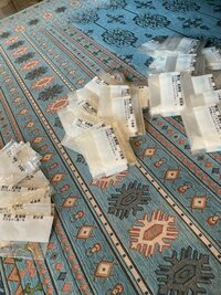 野田聖子『2021/05/16』