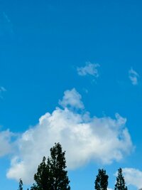 だいたひかる『健診で先生に言われた事』