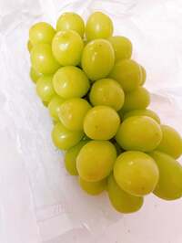 細川直美『嬉しいお裾分け』