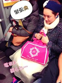 平愛梨『妊婦な私。』
